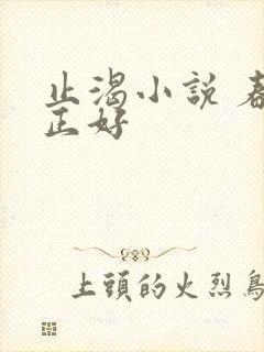 止渴小说 春光正好