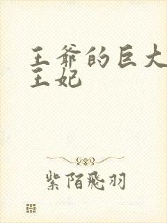 王爷的巨大进入王妃