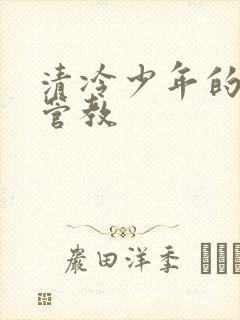 清冷少年的严厉管教