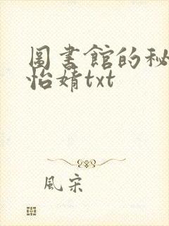 图书馆的秘密程怡婧txt封面