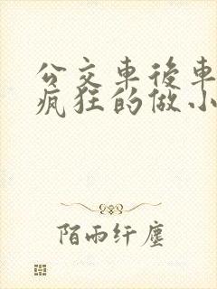 公交车后车座的疯狂的做小