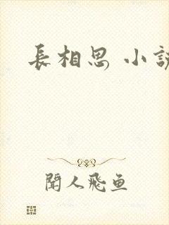 长相思 小说
