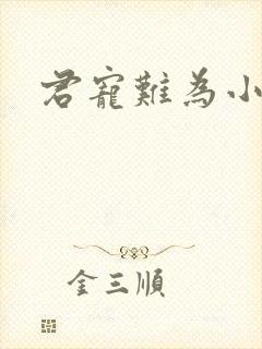 君宠难为小说封面