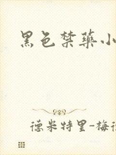 黑色禁药小说