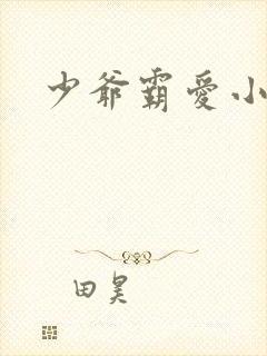 少爷霸爱小丫头
