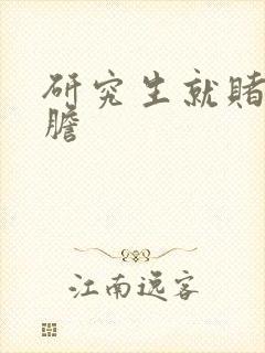 研究生就赌一个胆封面