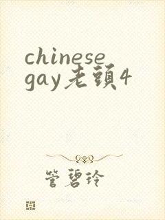 chinesegay老头4封面