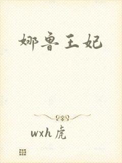 娜鲁王妃