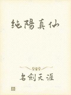 纯阳真仙