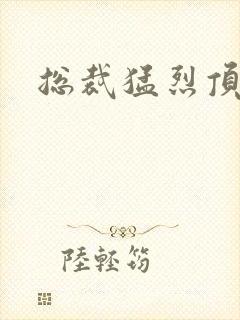 总裁猛烈顶弄h