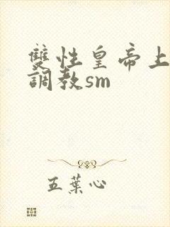 双性皇帝上朝被调教sm封面