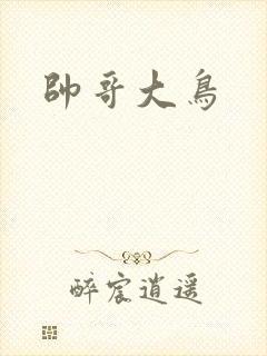 帅哥大鸟