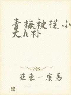青梅被从小摸到大h补封面
