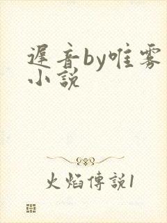 迟音by唯雾的小说