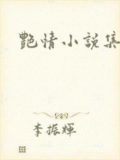 艳情小说集封面