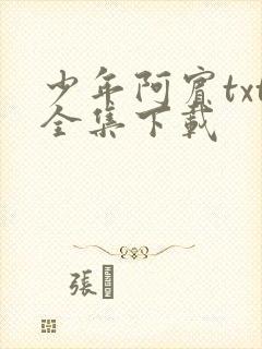 少年阿宾txt全集下载