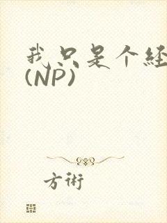 我只是个经纪人(NP)