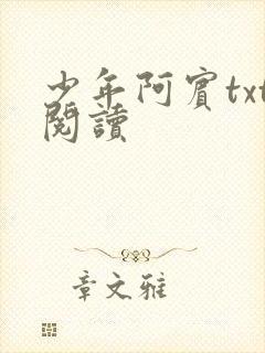 少年阿宾txt阅读