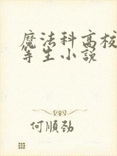 魔法科高校的劣等生小说