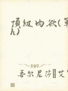 顶级肉欲(军高h)封面