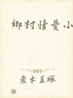 乡村情爱小说