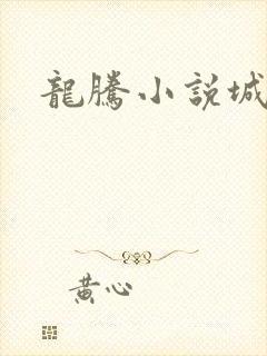 龙腾小说城封面