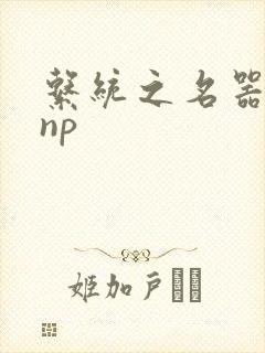 系统之名器攻略np
