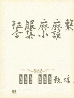 征服麻麻系列大合集小说