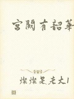 宫阙有韶华封面