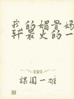 我的媚骨妈妈林轩最火的一句