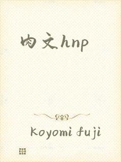 肉文hnp封面