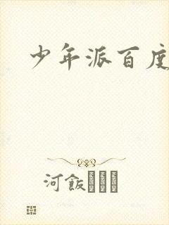 少年派百度百科
