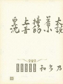 皇上撞着太子妃沈音的小说叫什么