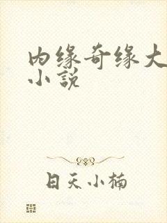 内缘奇缘大团圆小说
