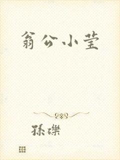 翁公小莹封面