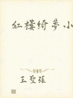 红楼绮梦小说