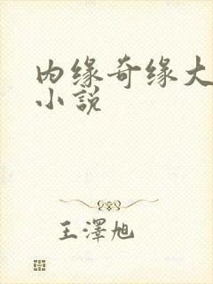 内缘奇缘大团圆小说