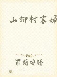 山柳村寡妇情史