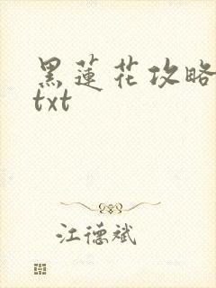 黑莲花攻略手册txt封面