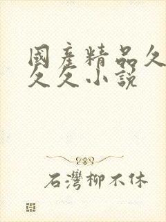 国产精品久久久久久小说