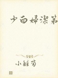少白妇洁第二部封面