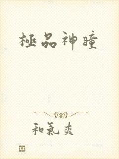 极品神瞳
