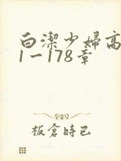 白洁少妇高义第1一178章