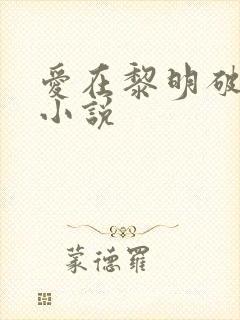 爱在黎明破晓前小说