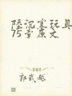 陆沉塞玩具高速75章原文