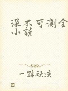 深不可测金银花小说