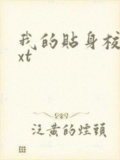 我的贴身校花txt