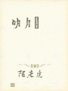 明月珰封面