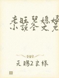 老旺儿媳妇秦雨小说全文免费阅读封面