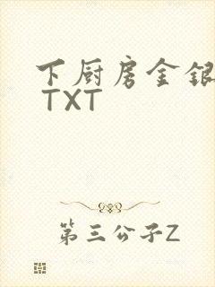 下厨房金银花露 TXT